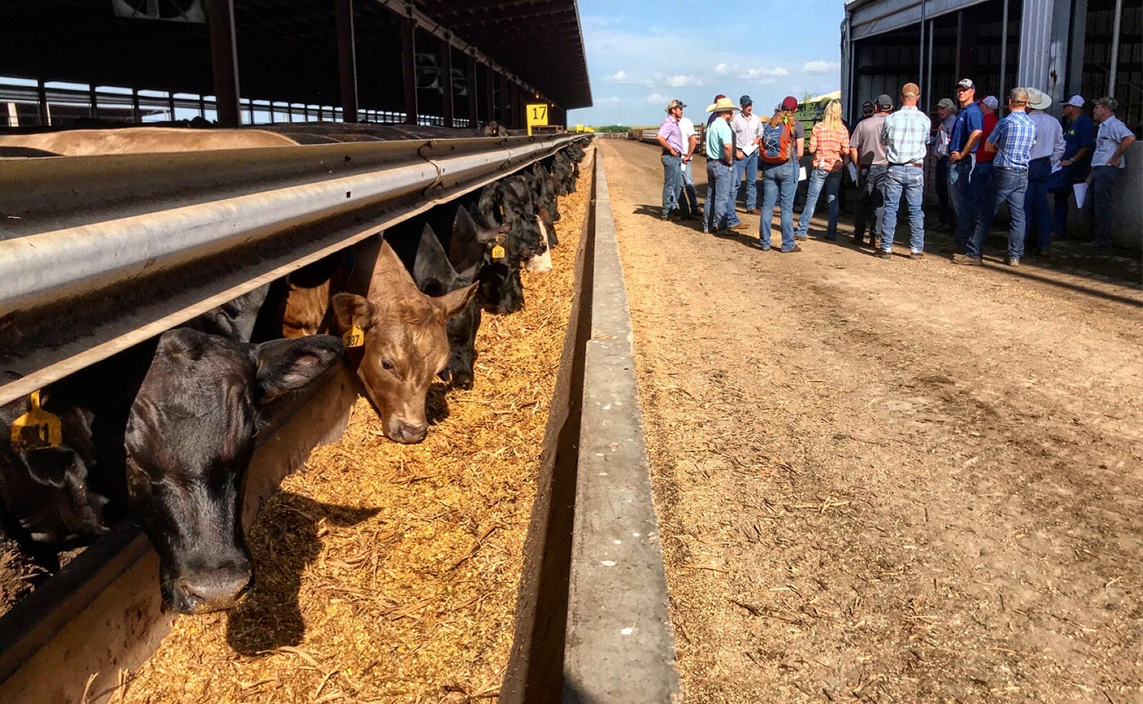 FL Iowa Feedlot Short Course
